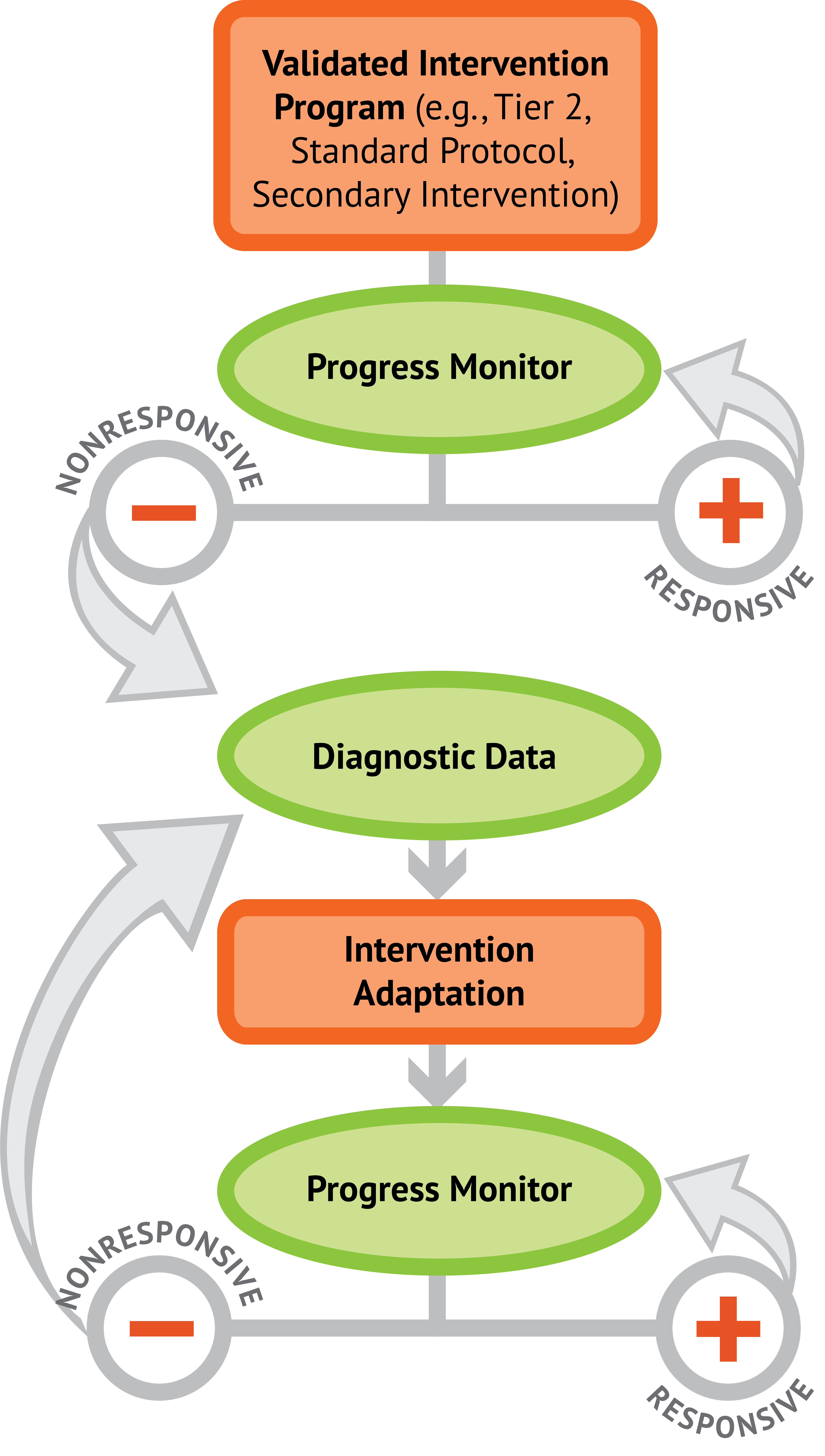 NCII's process of data based individualization, text only version link available after the graphic